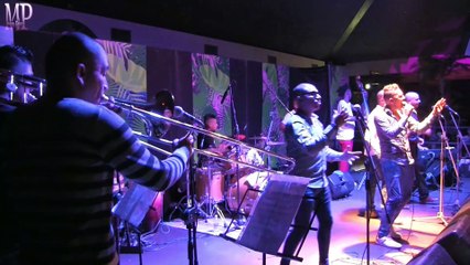 Barbaro Fines Y Su Mayimbe - Te Vi Nacer