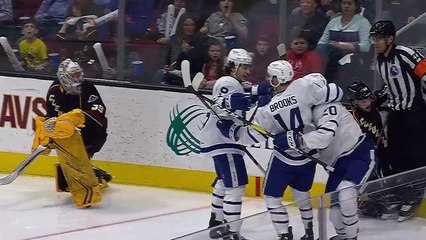 Cleveland Monsters 2 - Toronto Marlies 6 FINAL