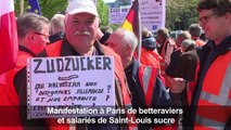 Sucre: les betteraviers de Saint-Louis manifestent à Paris