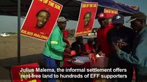 Juju Valley: South Africa's informal settlement of EFF voters