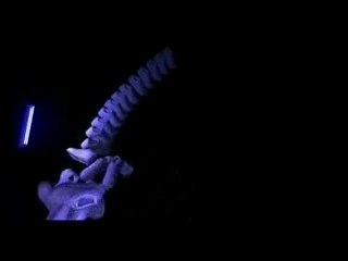 Nike AF1 by Radical Media