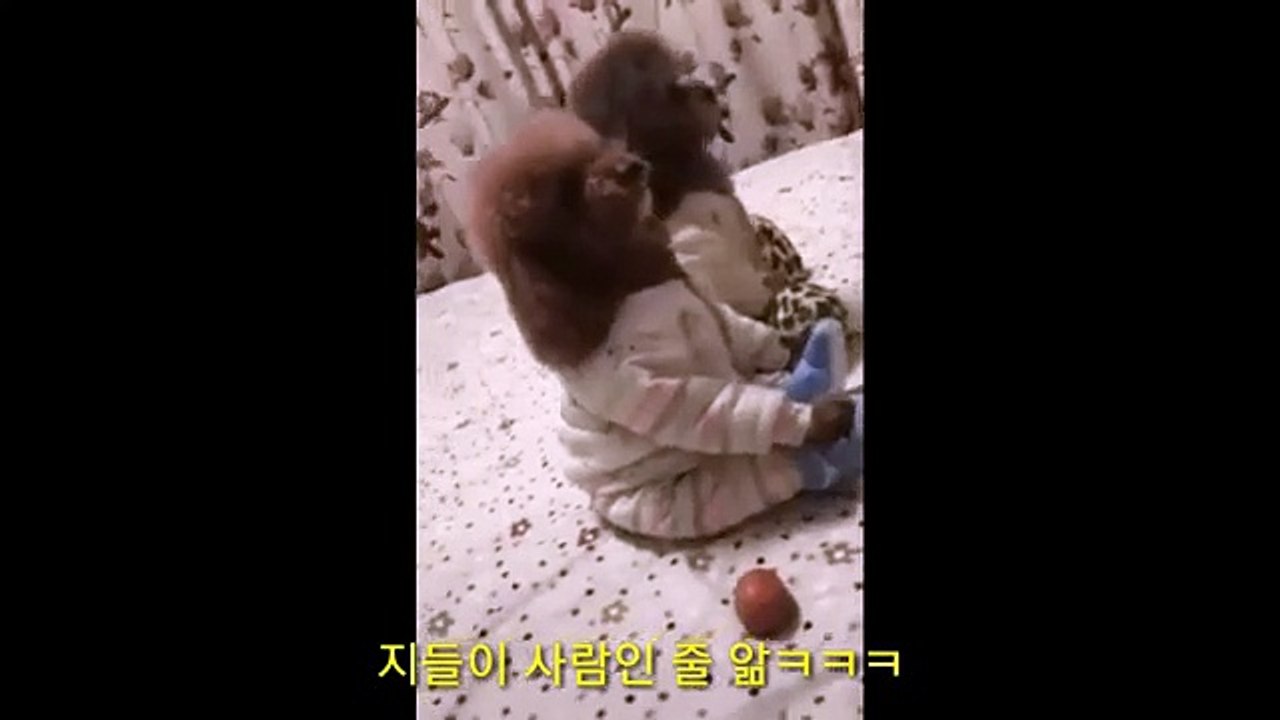 (거제출장마사지) ##D 100%후불-【 Ø1Ø↔6686↔5378 카톡fc81】거제출장안마, 거제출장안마후기, 거제출장안마'만족τ거제출장안마'만족도1위 20대여대생의 최상위 서비스