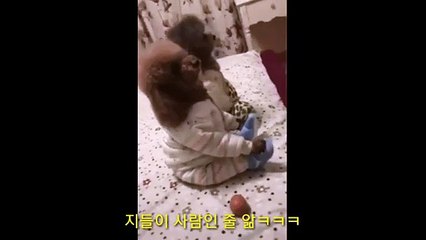 (울진출장마사지) ##D 100%후불-【 Ø1Ø↔6686↔5378 카톡fc81】울진출장안마, 울진출장안마후기, 울진출장안마'만족τ울진출장안마'만족도1위 20대여대생의 최상위 서비스