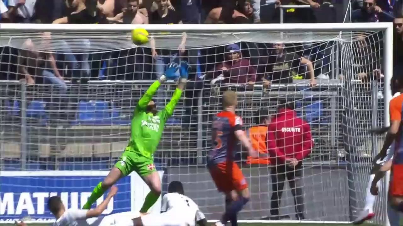 Top arrêts 35ème journée - Ligue 1 Conforama 2018-19