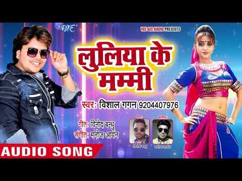 #DJ #आरकेस्ट्रा स्पेशल सुपरहिट गाना 2018 - Vishal Gagan - Luliya Ke Mummy - Bhojpuri Hit Songs