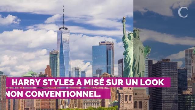 PHOTOS. Met Gala 2019 : Harry Styles bouleverse les codes de la mode masculine