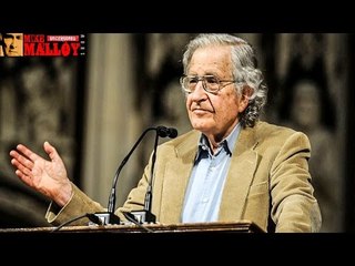 Halle/Chomsky: An Eight Point Brief For Lesser Evil Voting