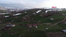 Ordu Karadeniz'de Yayla Göçü Başladı