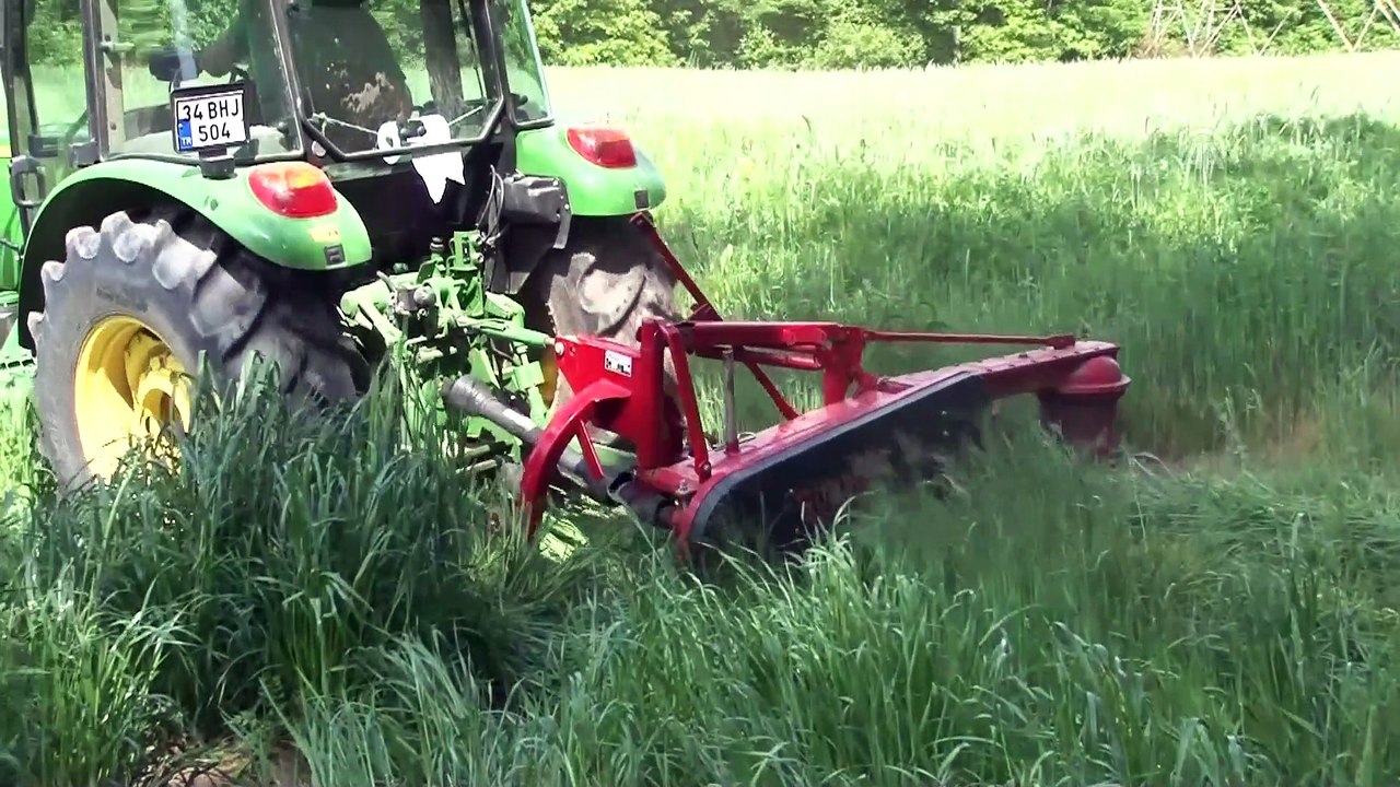 Doğal yaşam parkı sakinlerine organik yem - KOCAELİ