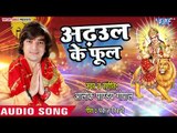 Alok Pandey Gopal Devi Geet 2018 - अढ़उल के फूल - Adhaul Ke Phool - Superhit Bhojpuri Devi Geet