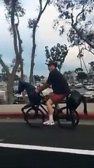 Asrın Binicilik Buluşu