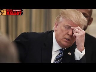 Paulie Flipped on Us, Boss!!