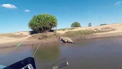 Grosse frayeur pour ces pécheurs qui se font charger par un crocodile géant