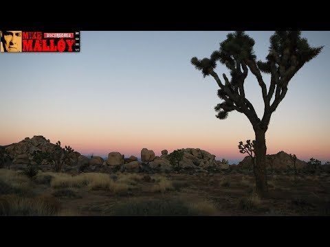 Joshua Tree Park Vandalized During Shutdown