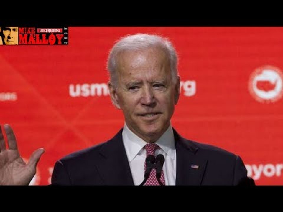 Biden Defends Paid Speech Supporting Republican Fred Upton