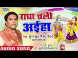 Nirbhaye Tiwari (2019) का सुपरहिट होली गीत : राधा चली अईहा || Superhit Holi Geet 2019