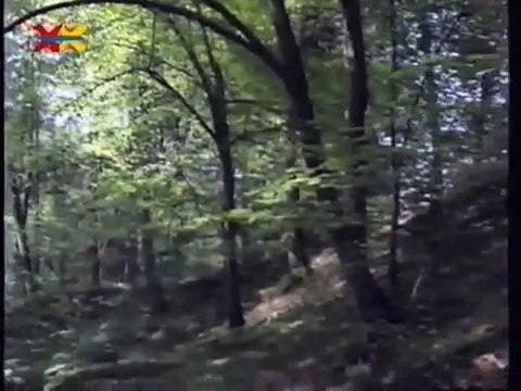 Mittendrin 06 in einer Waldlichtung - Umweltmagazin mit Peter Lustig