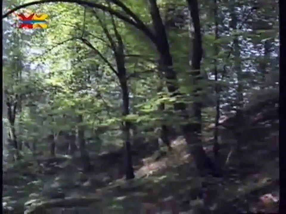 Mittendrin 06 in einer Waldlichtung - Umweltmagazin mit Peter Lustig