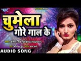 चुमेला गोर गाल के (AUDIO) - Antra Singh Priyanka - Chumela Gore Gaal Ke - Bhojpuri Hit Songs 2019 HD