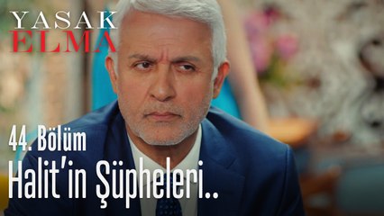 Halit, Ender'den şüpheleniyor - Yasak Elma 44. Bölüm