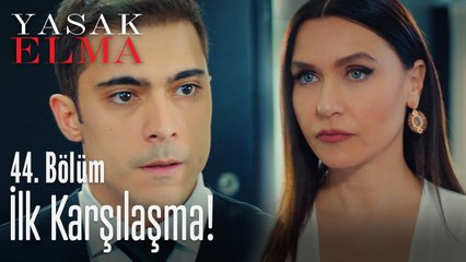Yiğit, Ender'le ilk defa karşılaşıyor - Yasak Elma 44. Bölüm