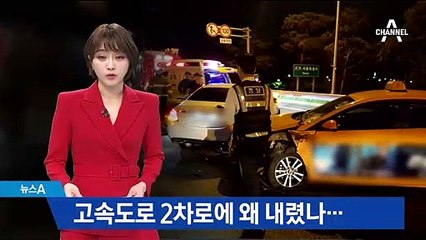 차량 고장도 아닌데 왜…고속도로 한복판 ‘의문의 하차’