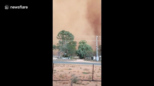 'Is that a tornado?' UK backpackers don't know what to do in Australian dust storms