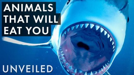 What If You Were Swallowed Alive?