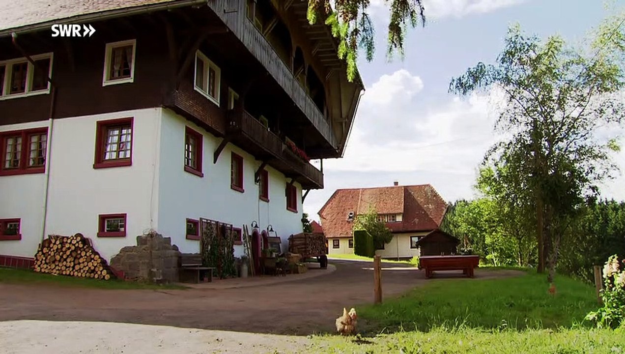 Die Fallers - Folge 976 - Beste Freunde (27.05.2018)