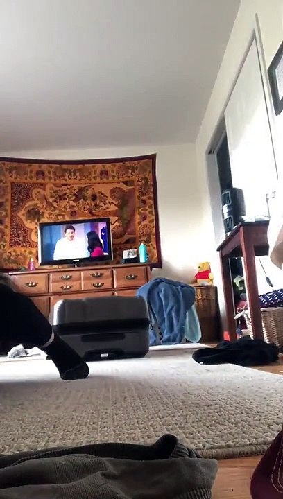 Un chat attaque sa maîtresse