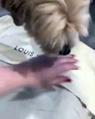 Une femme déballe son nouveau sac Louis Vuitton