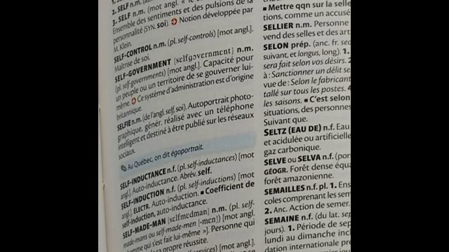 Bigorexie, klouker : de nouveaux mots dans le dictionnaire en 2020