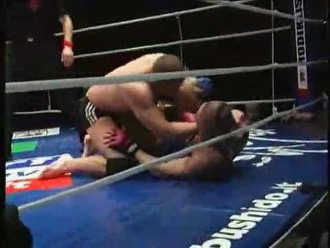 Fedor Emelianenko vs Egidijus Valavicius