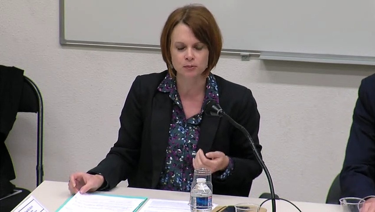 "Le Parlement européen, miroir des crises de l’Union européenne ? ", Laetitia GUILLOUD-COLLIAT, Professeur, Université Grenoble Alpes _@Traité de Rome_IRDEIC_29&30-11-18_16