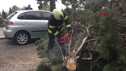 Kocaeli İzmit'te Fırtınada Ağaç Otomobillerin Üzerine Devrildi