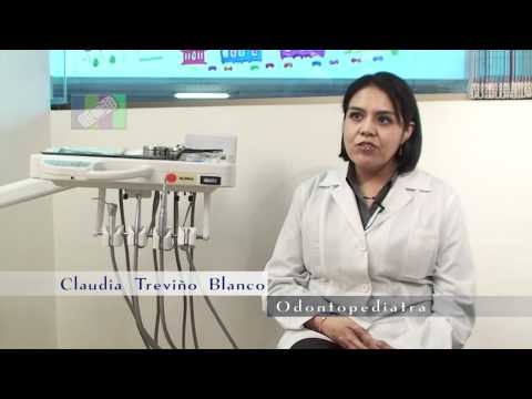 ¿Qué tipo de alimentos pueden favorecer la aparición de los dientes de leche?