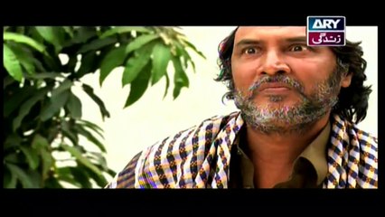 Mehmoodabad Ki Malkain Episode 51 - 7th May 2019