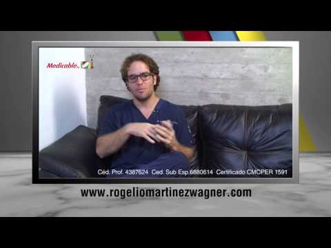 ¿Cómo está formada la piel y cuál es su función?