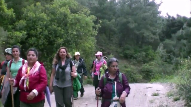 Çamlık Şirince SELÇUK -D