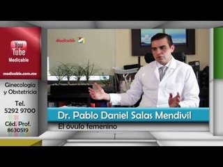 ¿Cómo se origina el óvulo femenino?