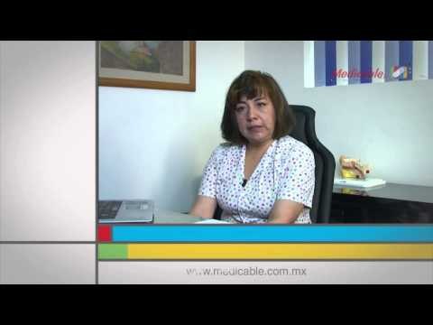 ¿En qué consiste el trasplante de médula ósea?