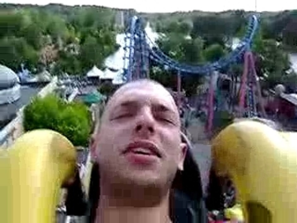 cobra