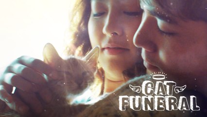 Cat Funeral