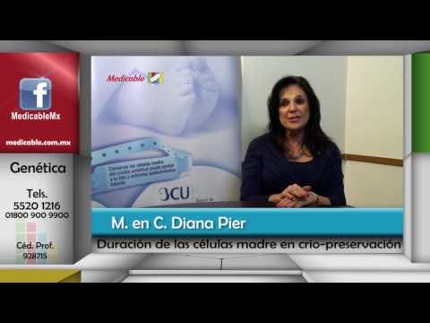 ¿Cuánto tiempo duran las células madre en crio-preservación?