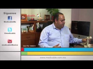 ¿Cómo está compuesta la articulación natural de la cadera?