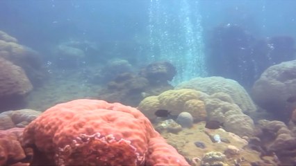 Scientists Are Testing A Way To Keep C02 From Entering The Atmosphere