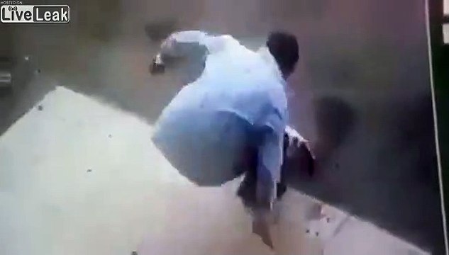 Le chat le plus sauvage du monde... on dirait un pitbull !