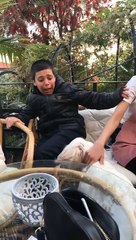 Cet ado est terrifié par ce chien !