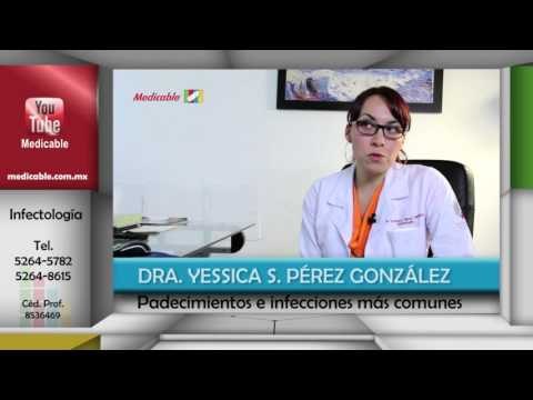 ¿Qué padecimientos atiende un infectólogo? ¿Cuáles infecciones son más comunes?