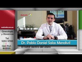 ¿El bebé siente dentro del útero?